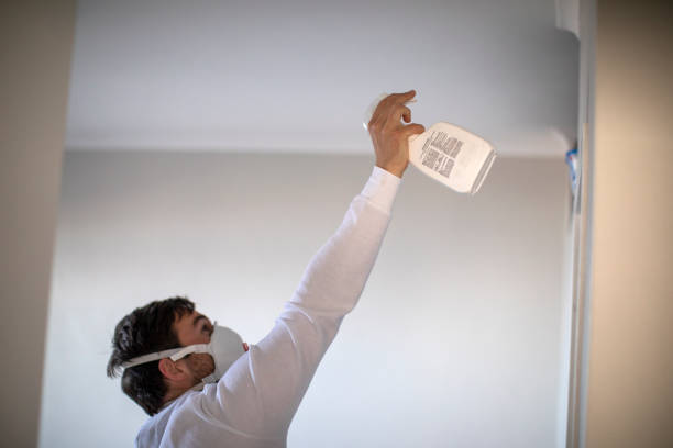 Best Mold Removal Specialists  in Wyandotte, MI