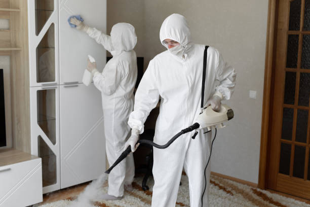 Best Attic Mold Removal  in Wyandotte, MI