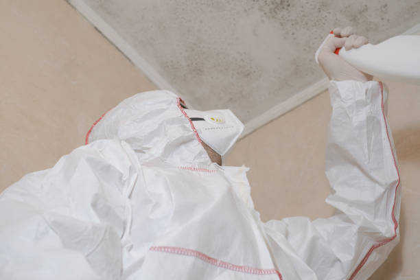 Best Mold Removal Near Me  in Wyandotte, MI